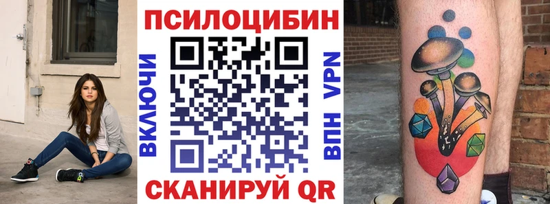 Псилоцибиновые грибы Cubensis  Купить где  Щучье 